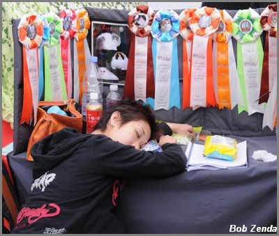 Charmaine napping in Shanghai (1)